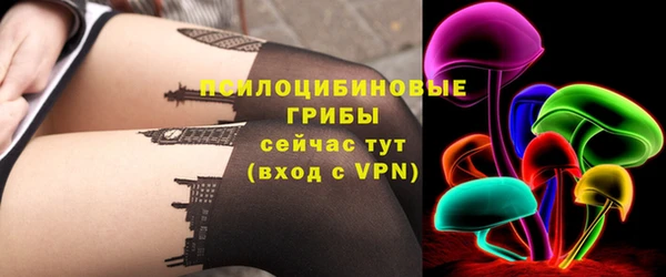ГАЛЛЮЦИНОГЕННЫЕ ГРИБЫ Алексин