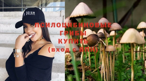 а пвп мука Абдулино