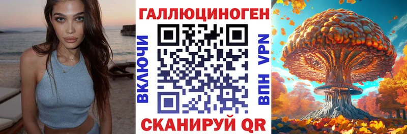 закладки  Златоуст  Галлюциногенные грибы MAGIC MUSHROOMS 